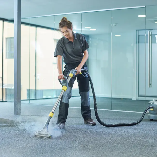 Restore and Protect Your Business Carpets