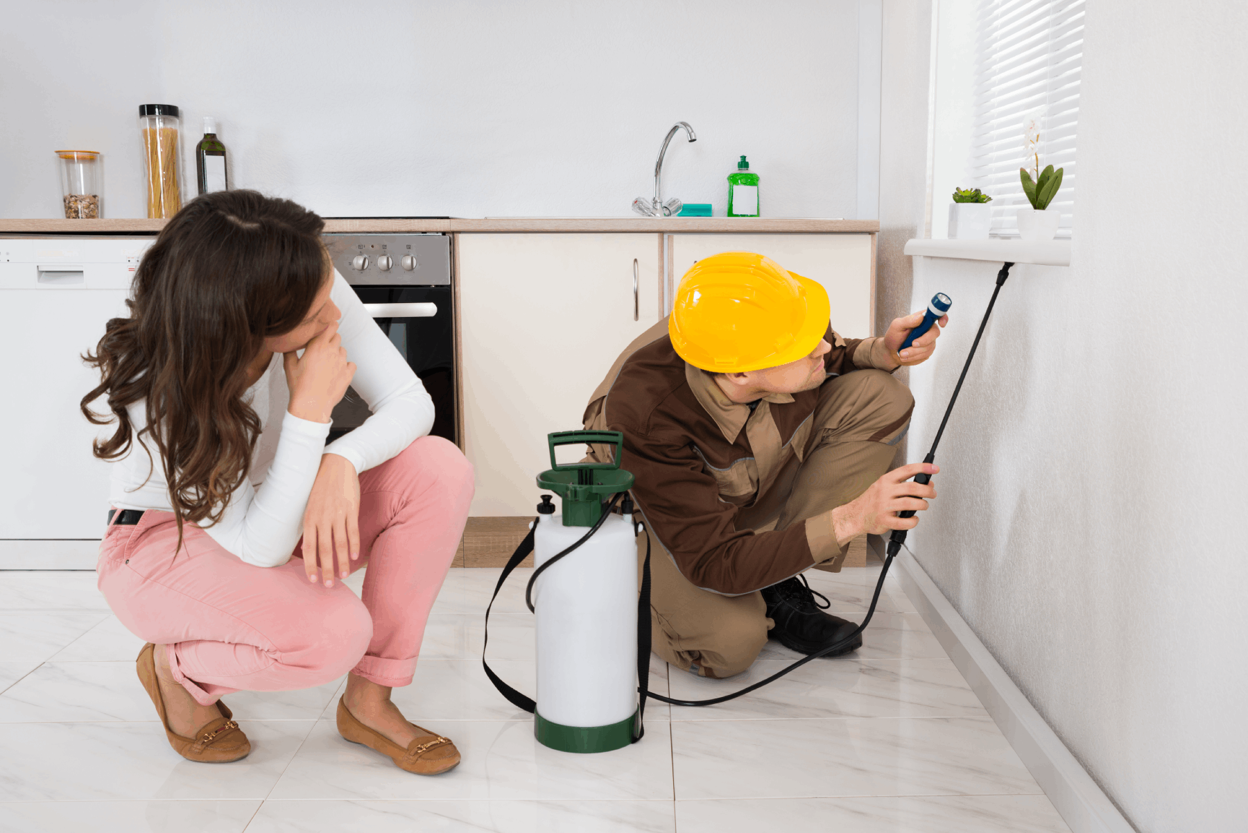office odor control cleaning